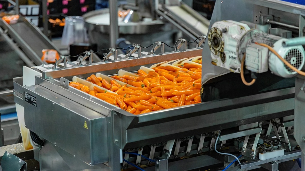 Diseño y mantenimiento, claves para prolongar la vida útil de una línea de procesado.jpg